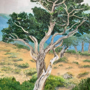 julia-valeski-bristle-cone-pine