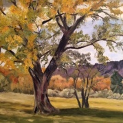 photo-12